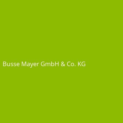 Busse Mayer GmbH & Co. KG